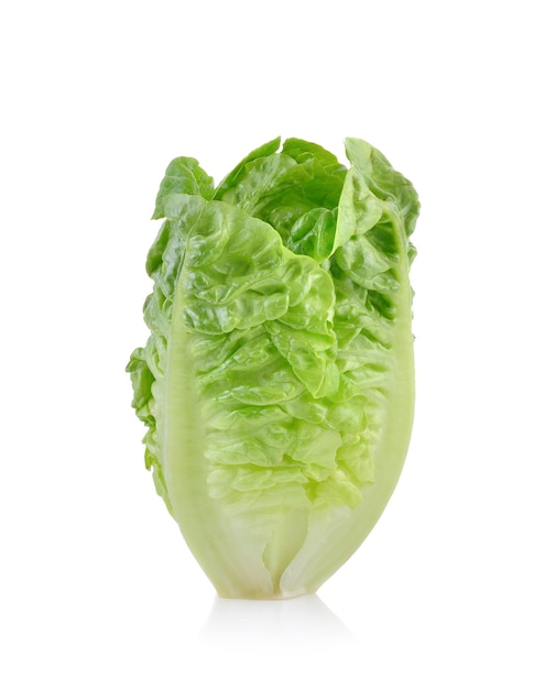 Fresh lettuce on white background