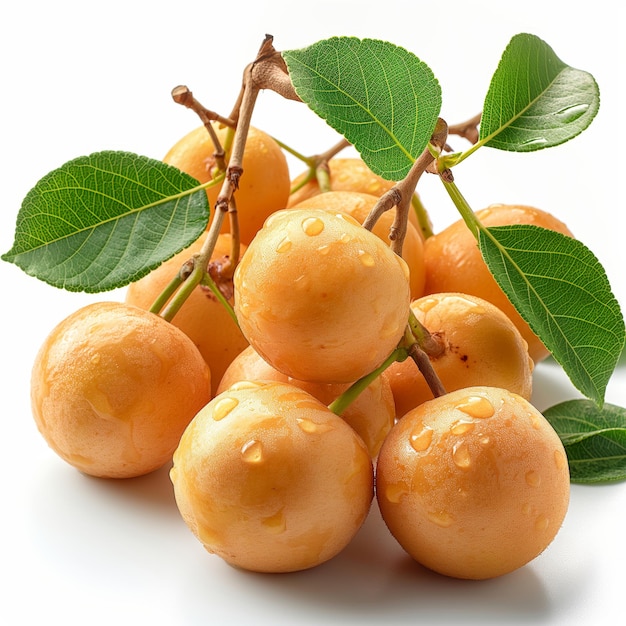 Fresh Longan Fruits with Leaves and Stems on a White Background