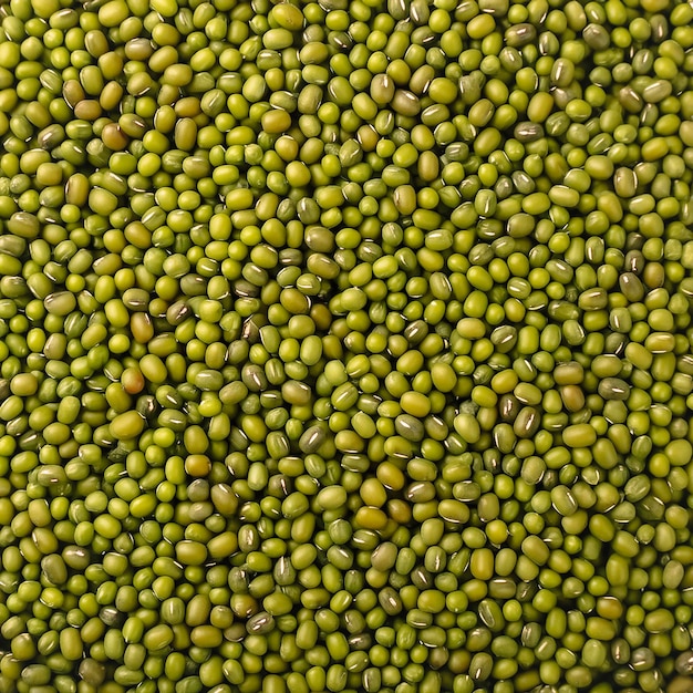 Photo fresh and a lots mung beans pattern texture