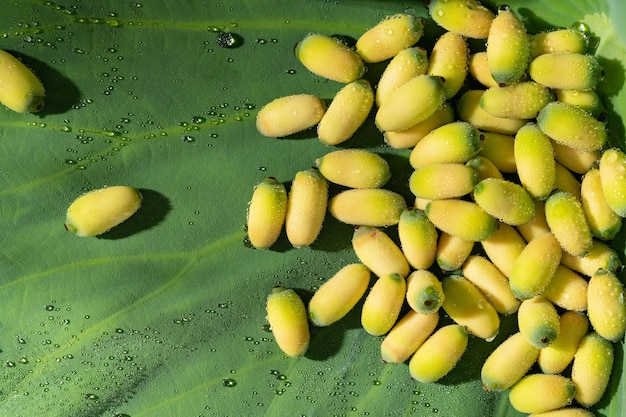 Fresh lotus seeds on a simple background