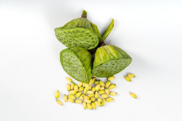 Fresh lotus seeds on a simple background