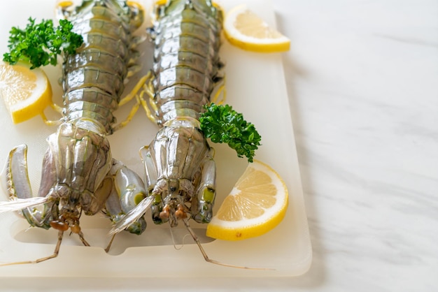 Fresh mantis shrimp with lemon