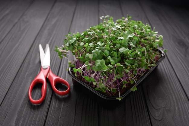 Fresh microgreens close up on wooden rustic dark background Growing sprouts for salad