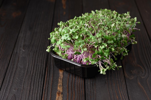 Fresh microgreens close up on wooden rustic dark background Growing sprouts for salad