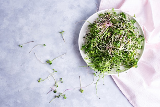 Fresh microgreens on white plate with napkin, flat lay, close up.