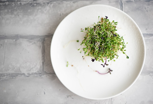 fresh microgreens with roots on a white plate