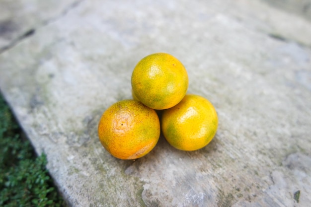 fresh mini orange fruit at the backyard garden in summer time day