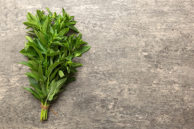 Fresh mint bunch on colored table Top view with copy space