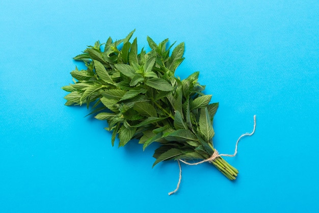 Fresh mint bunch on colored table Top view with copy space