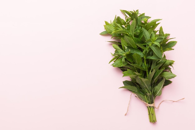 Fresh mint bunch on colored table Top view with copy space