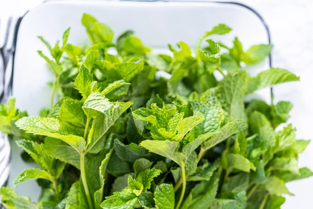 Fresh mint from the organic garden on a marble background.