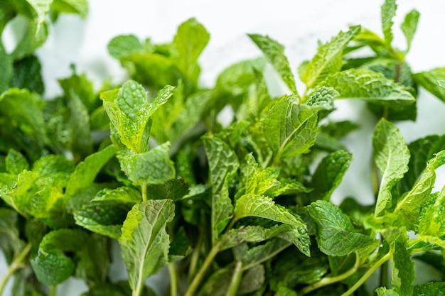 Fresh mint from the organic garden on a marble background.