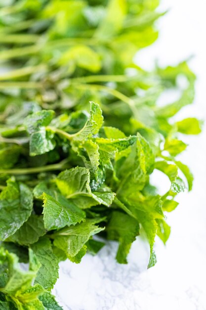 Fresh mint from the organic garden on a marble background.