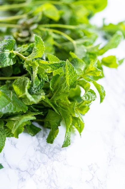 Fresh mint from the organic garden on a marble background.