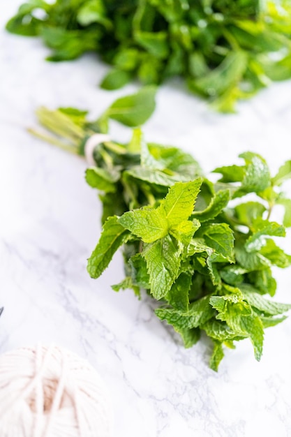 Fresh mint from the organic garden on a marble background.