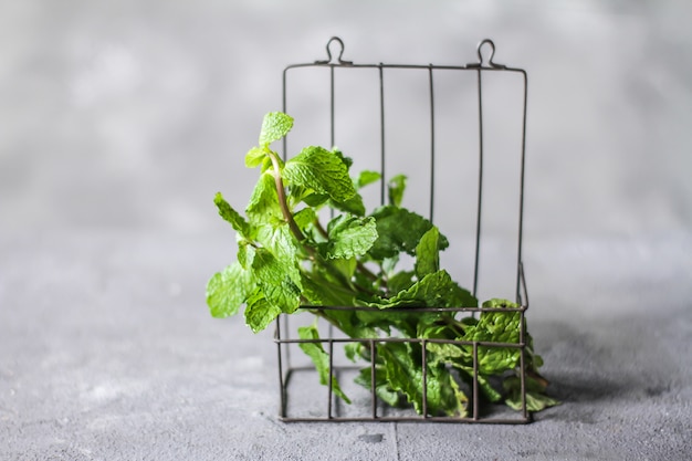 Fresh mint in a grid