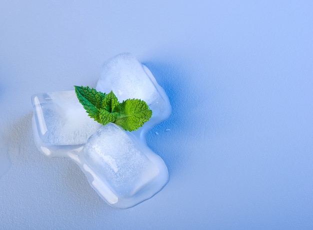 Fresh mint and ice cubes on a blue surface