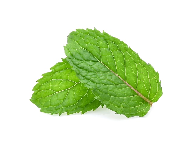 Fresh mint isolated on white background