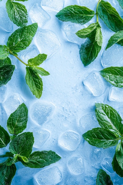 Photo fresh mint leaves on background ingredient for cocktails and lemonade food concept