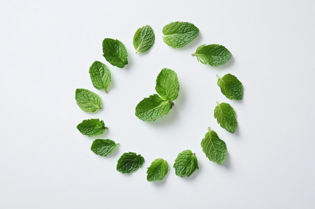 Photo fresh mint leaves creating a spiral effect on a white surface