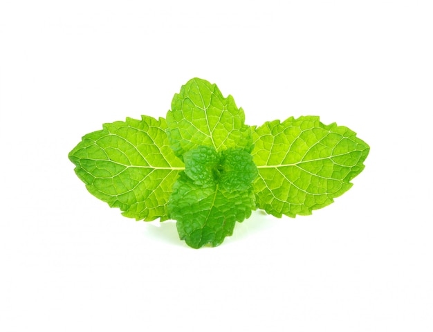 Fresh mint leaves isolated on white background