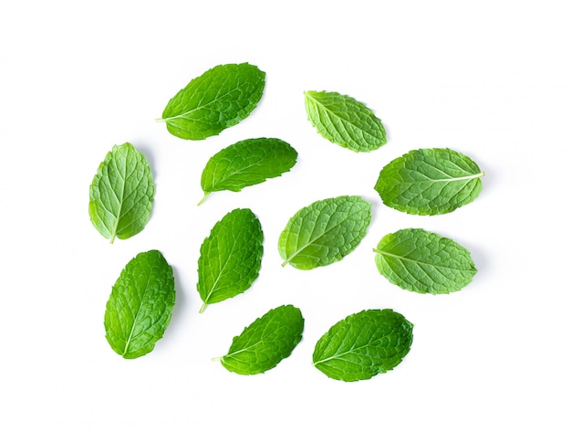 Fresh mint leaves pattern isolated