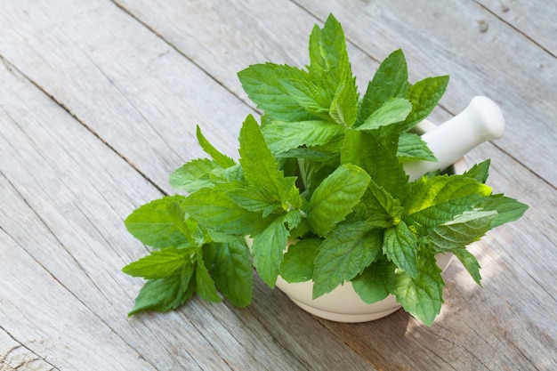 Fresh mint in mortar on garden table