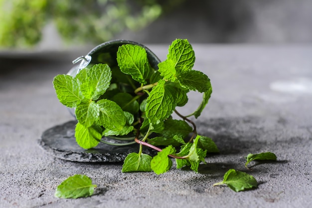 Fresh mint in a pot