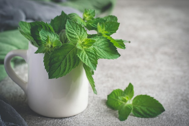 Fresh mint in white mug on a gray background