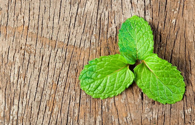 Fresh mint on wooden background