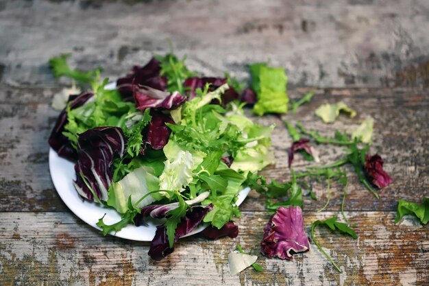 Fresh mix of salads on a plate. Healthy food concept. Diet food.