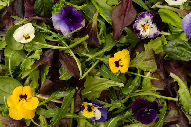 Fresh mix of salads with edible flowers Top view