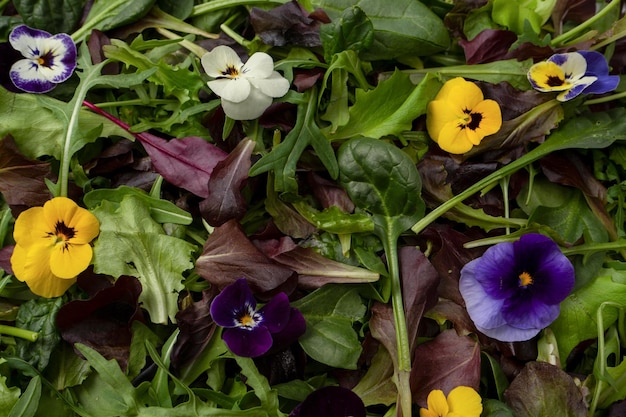 Fresh mix of salads with edible flowers Top view