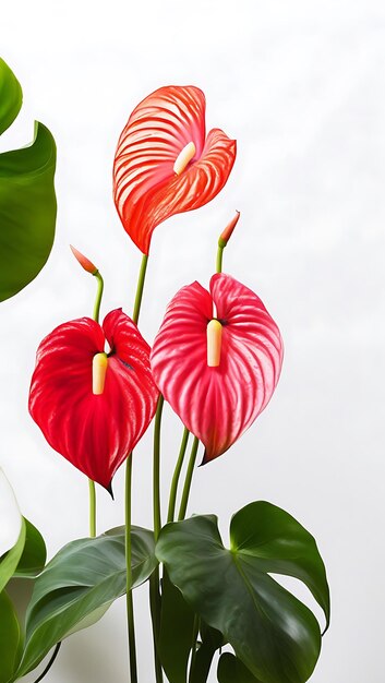 Photo fresh and modern anthuriums seamless design generative ai