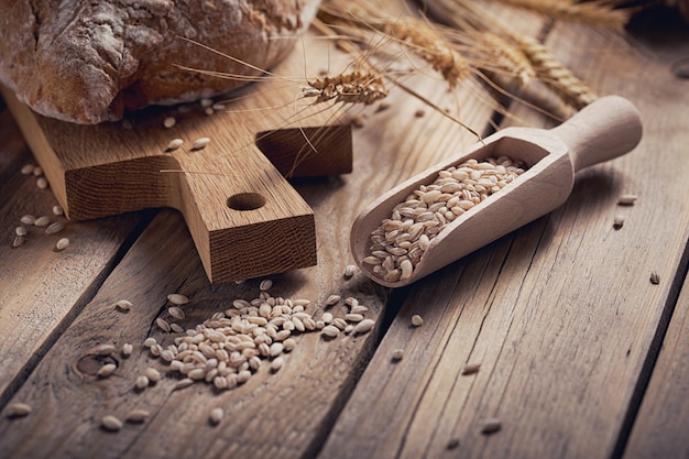 Fresh multigrain crusty bread and wheat ears