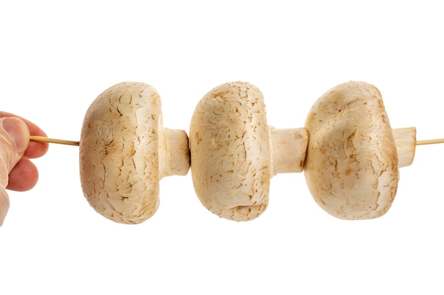 Fresh mushrooms are strung on a wooden skewer isolated on a white background