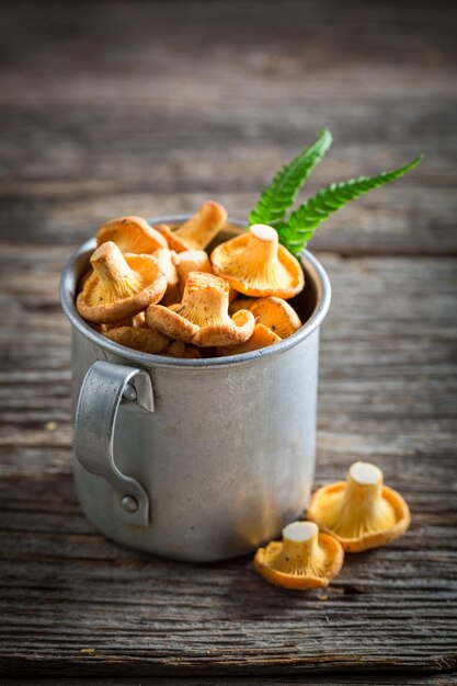 Fresh mushrooms in an old aluminum cup