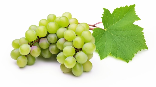 Fresh natural grape with leaf white background