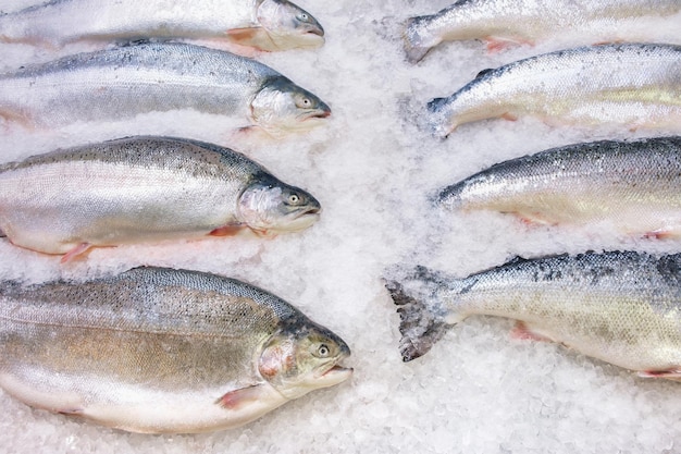 Fresh Norwegian salmon on ice in supermarket