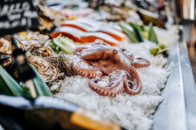 Fresh Octopus lies on ice in the fish shop Octopus for sale