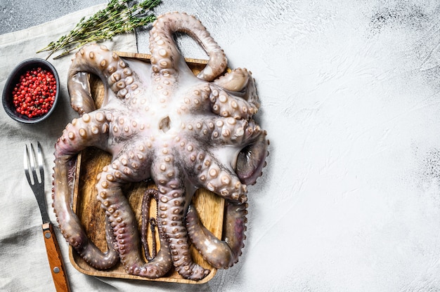 Fresh octopus ready for cooking. Organic seafood. Top view. Copy space