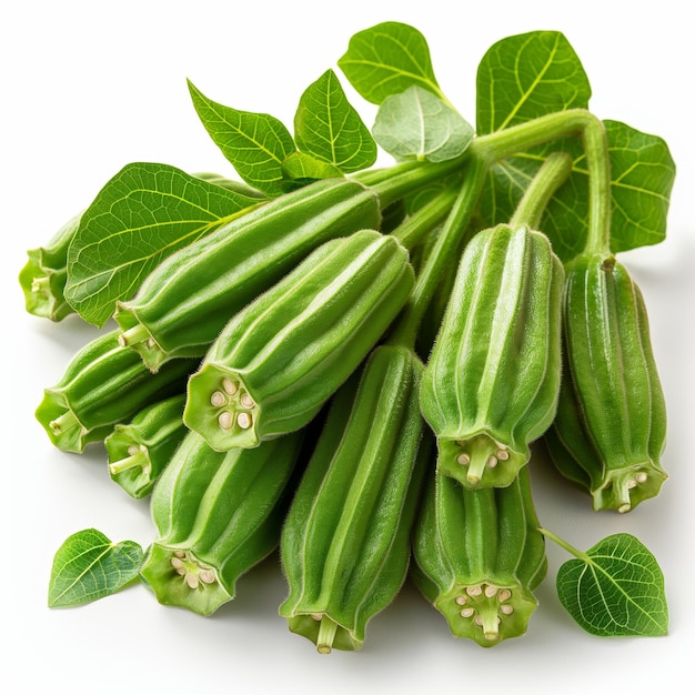 Fresh Okra with Leaves and Stems on a Clean White Background