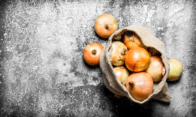 Fresh onion in an old bag