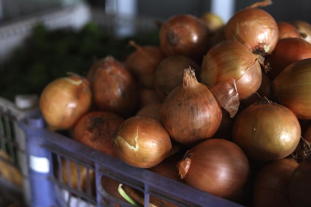 Fresh onions harvest in basket at the traditional market. Bio products healthy lifestyle.