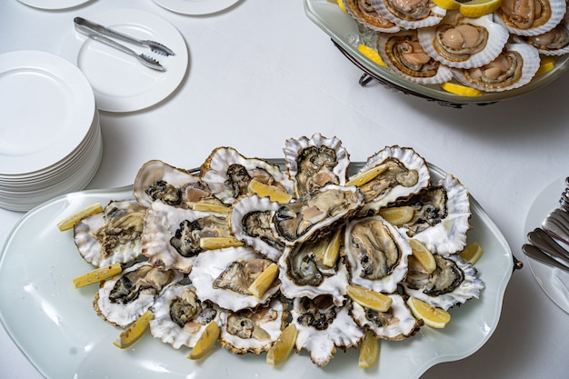 Fresh open oyster on a white plate. in the restaurant appetizer