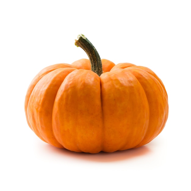 Fresh orange miniature pumpkin isolated