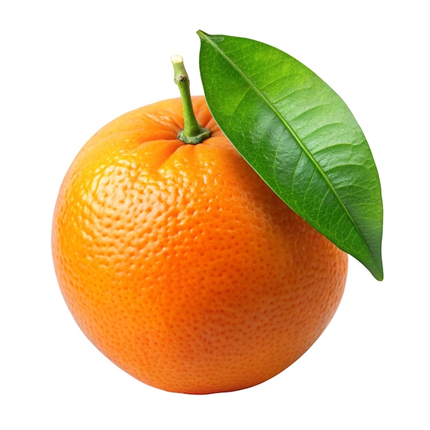 Fresh Orange with Green Leaf