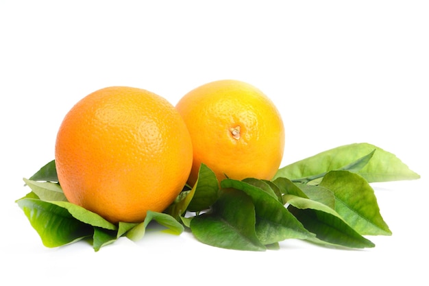 Fresh oranges on green leaves