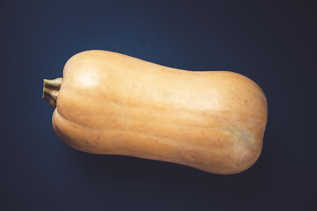 Fresh organic butternut squash isolated on black background