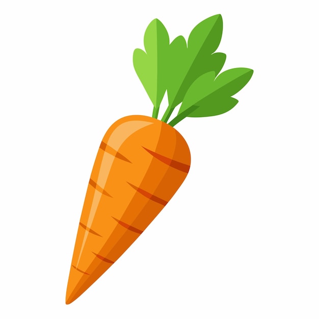 Photo fresh organic carrot